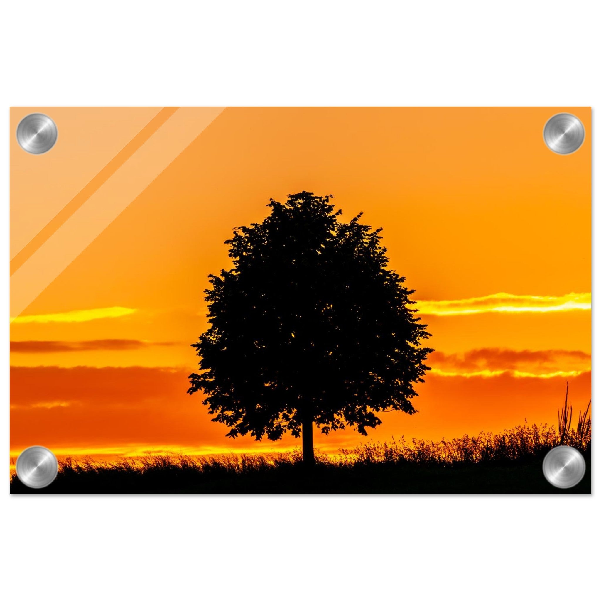 10ac2023-7066-4438-9ff8-06a5d94195bb