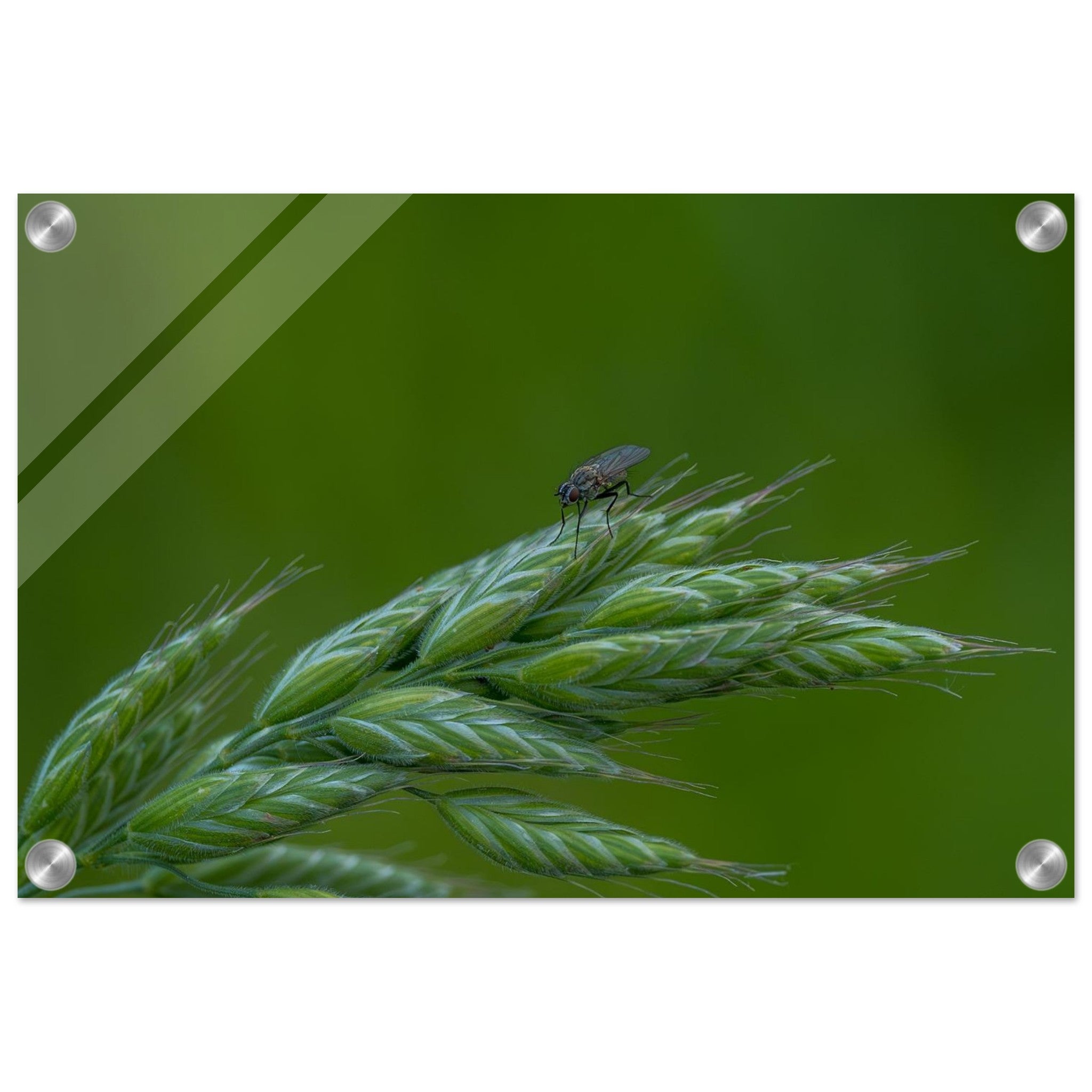 191df15d-5880-4cb8-a450-e0435c8b9f80