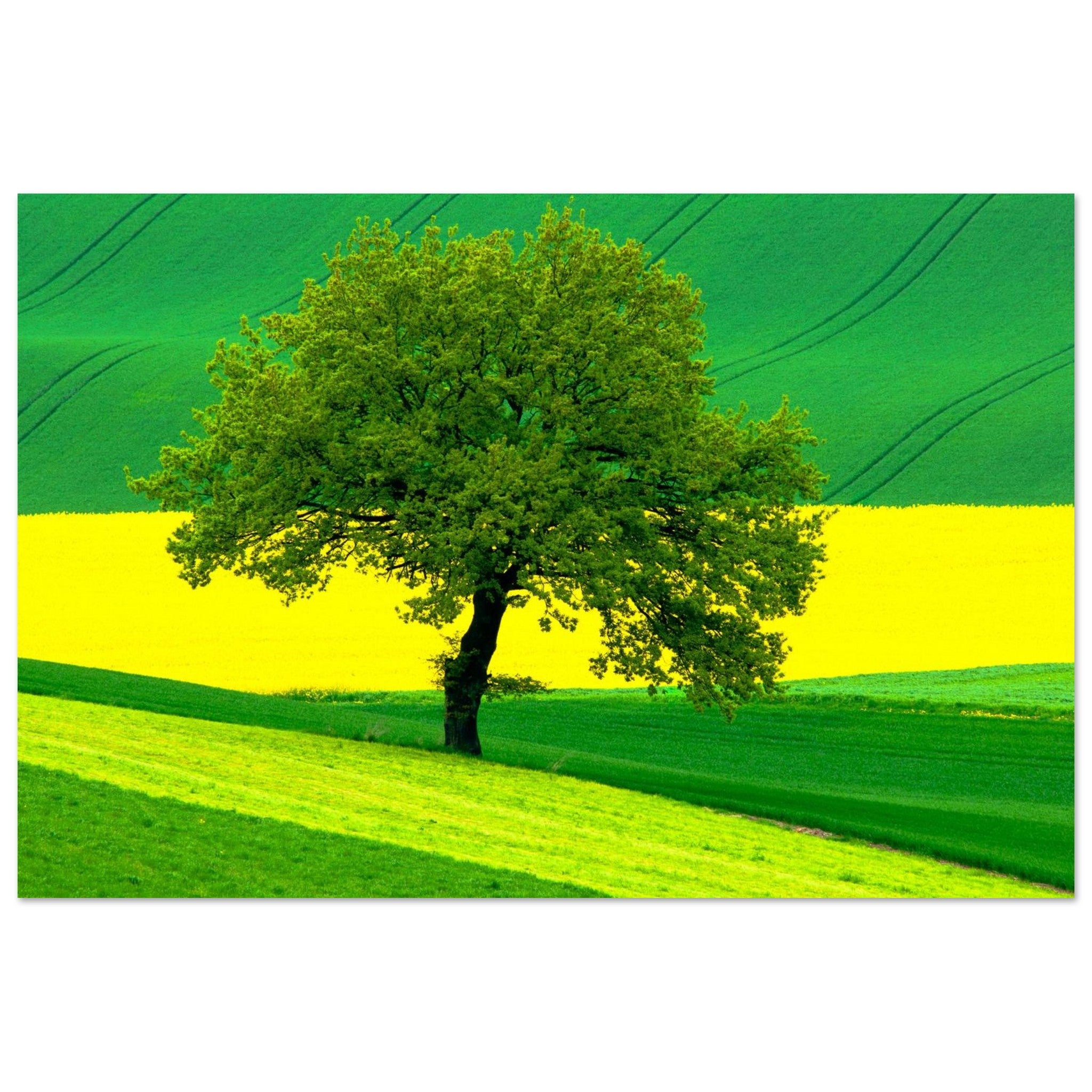 291b0742-f605-4d9e-aa46-65f76da0e8d4