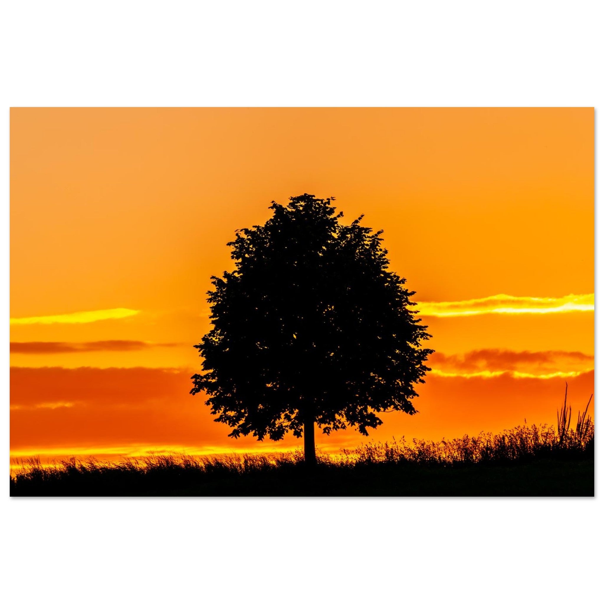 2f3fcc8a-4c38-4949-a9ae-da77ad7efdd2