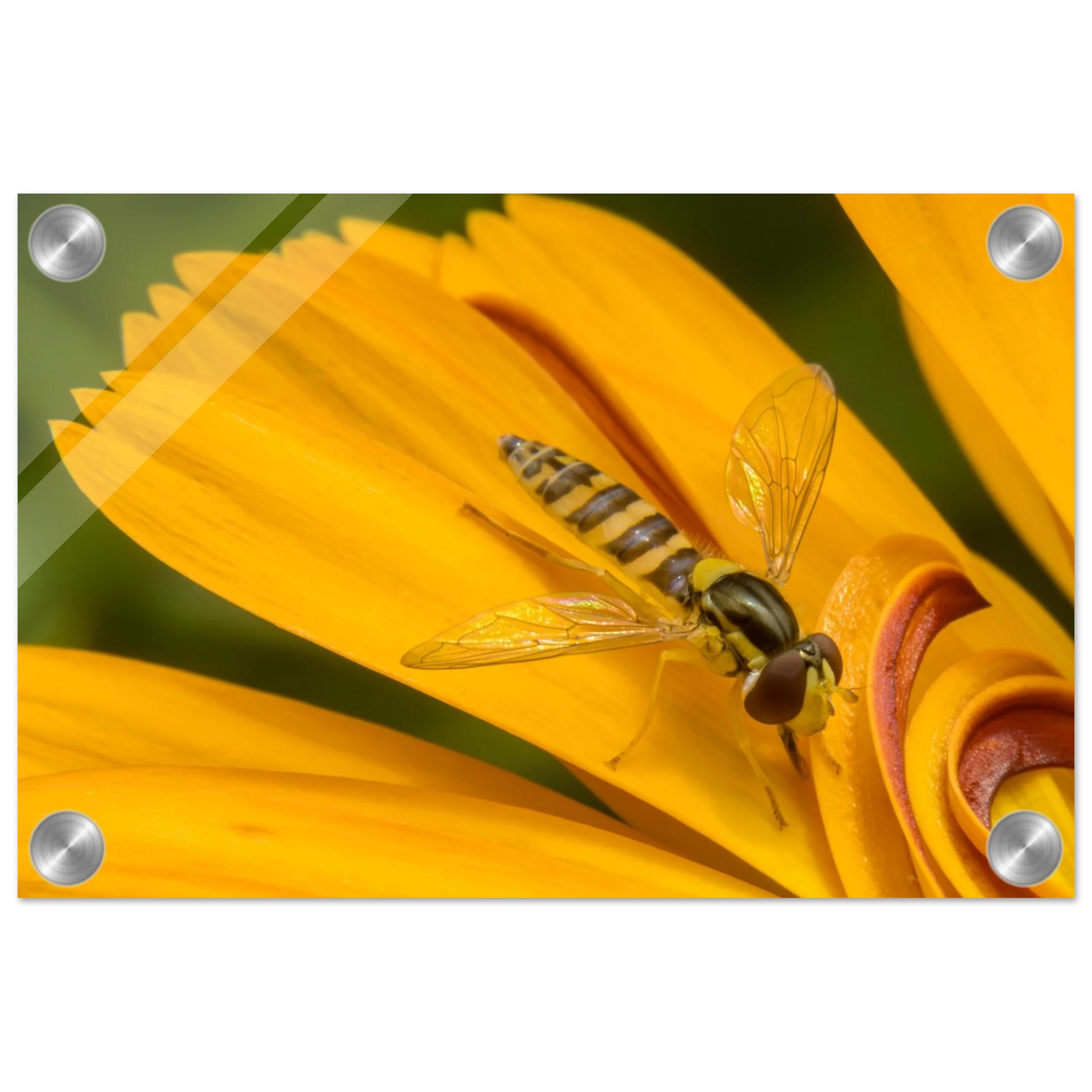 3d81c01a-0fb6-4274-9ca9-baec9645b3f4