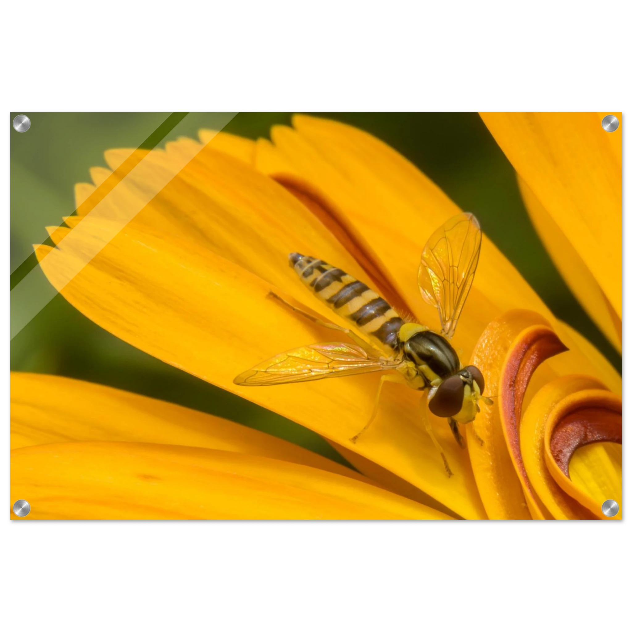 50d62a50-7148-4f36-96e5-29c975ef8d82