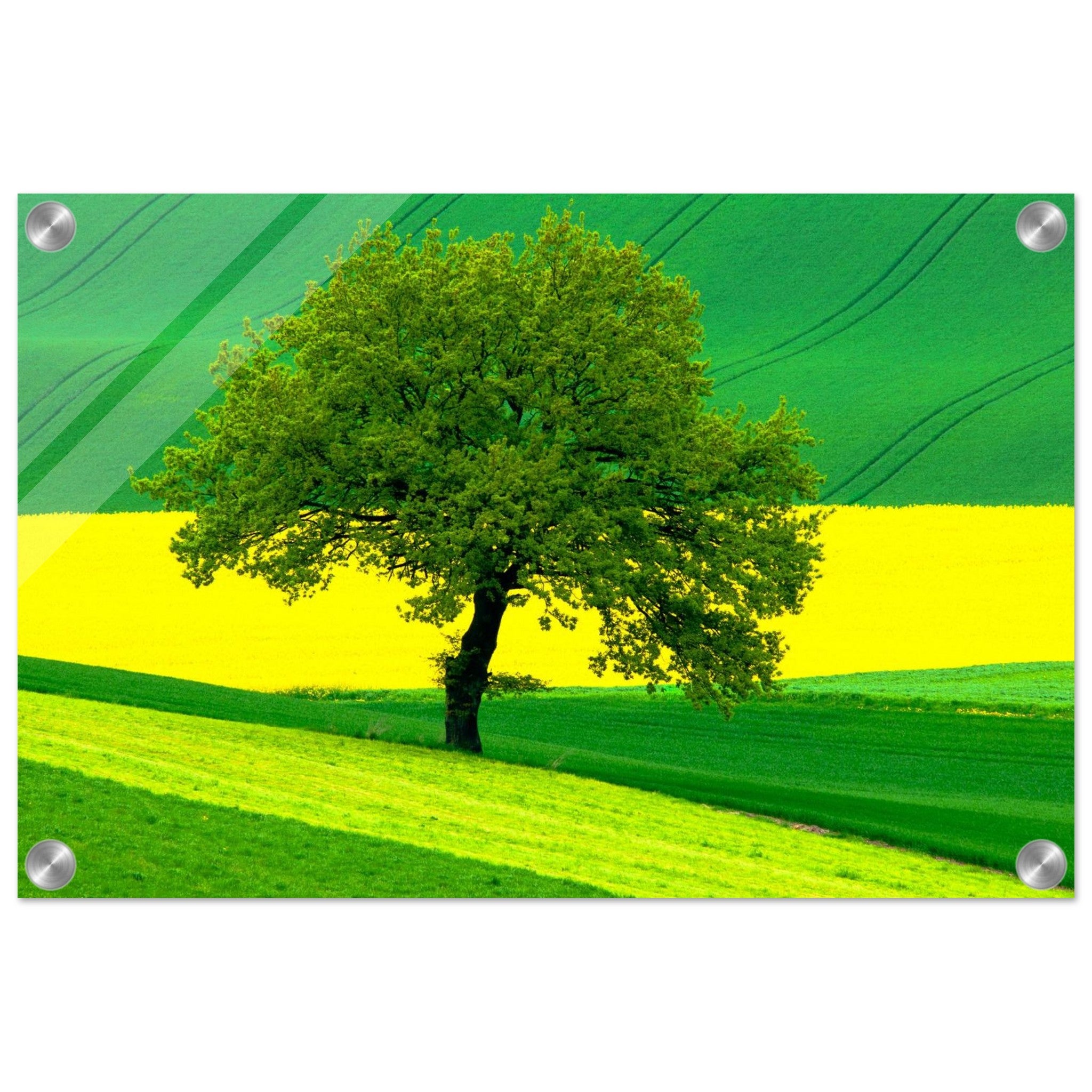 5342a873-c53c-40ff-8538-2adce9d92b2b