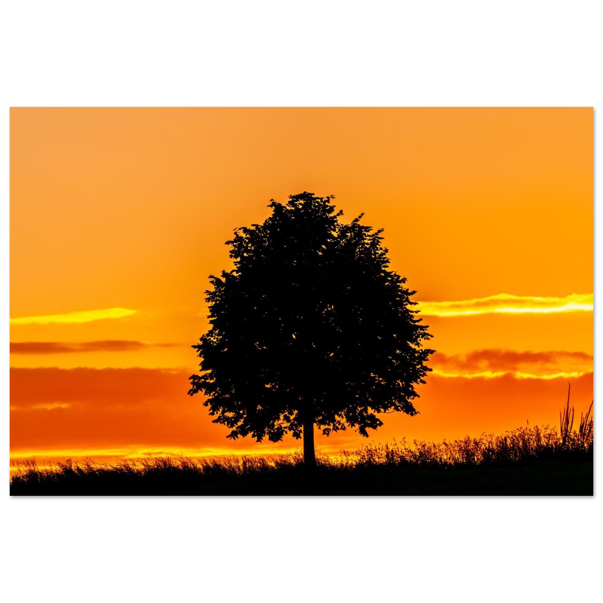 7202b41f-05c2-43ed-bb44-a84e83fe6f56