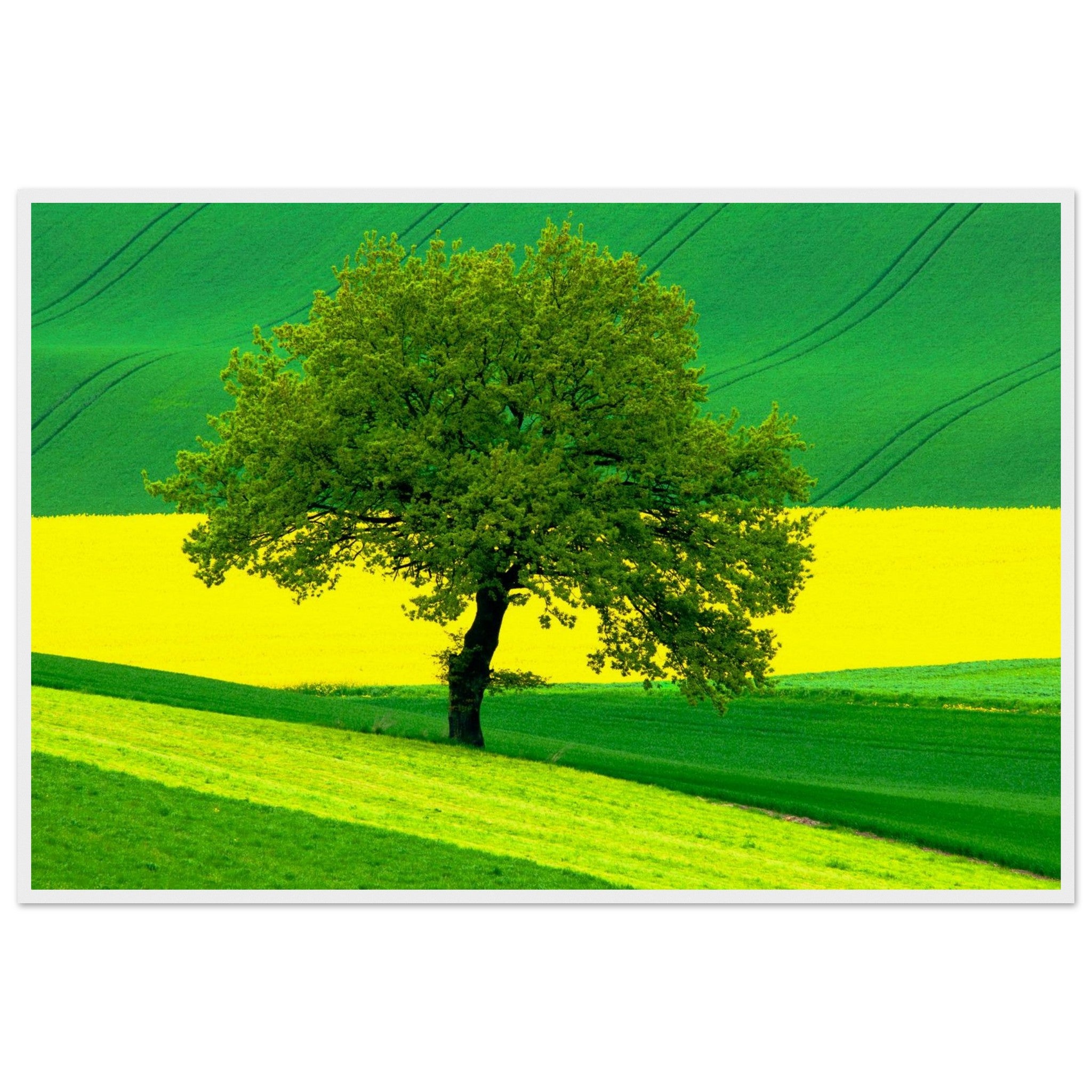 770e7f14-71a1-4d0f-97ba-bb197e87065b