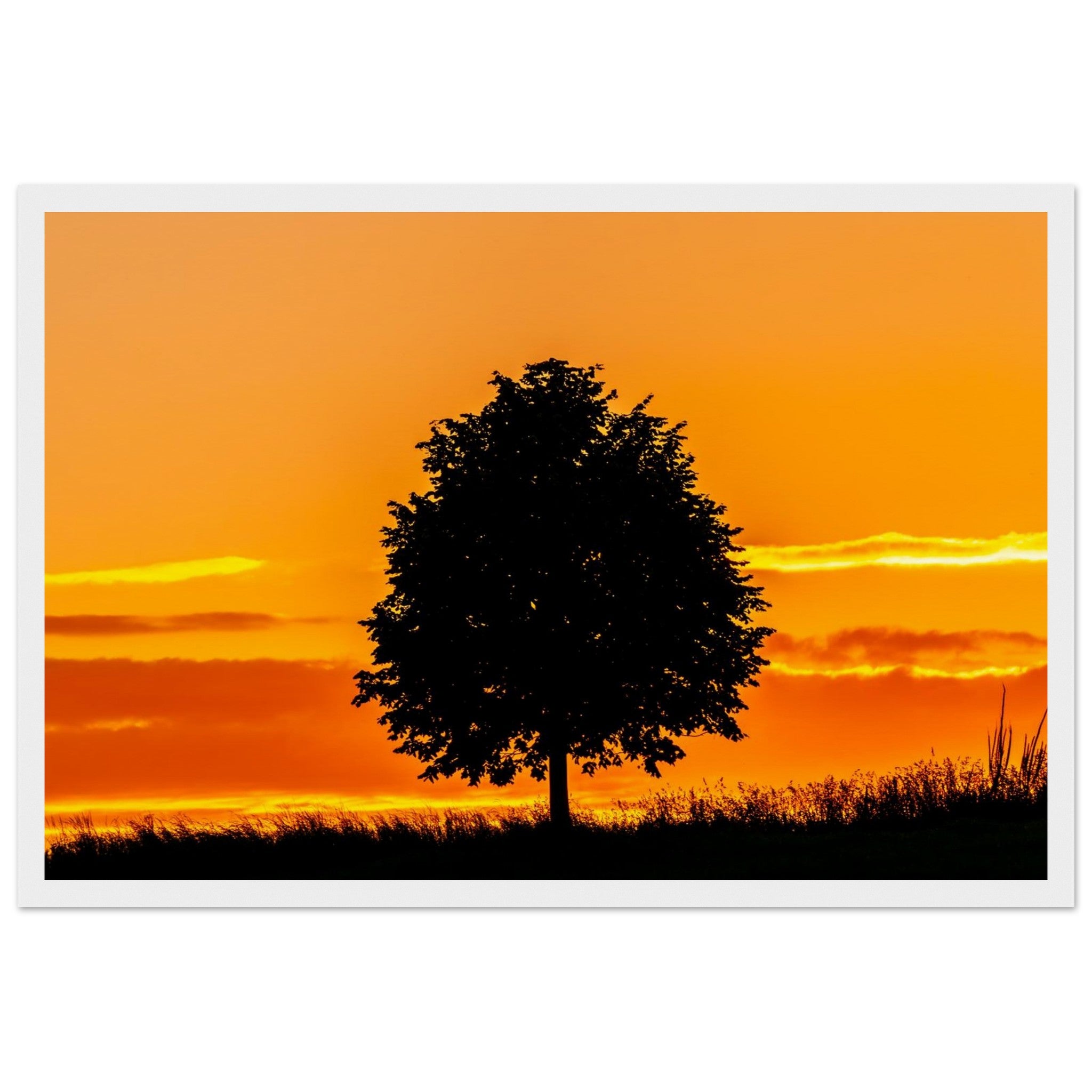 8aa5d5bd-9dac-4f42-9823-eeb62bde97a3