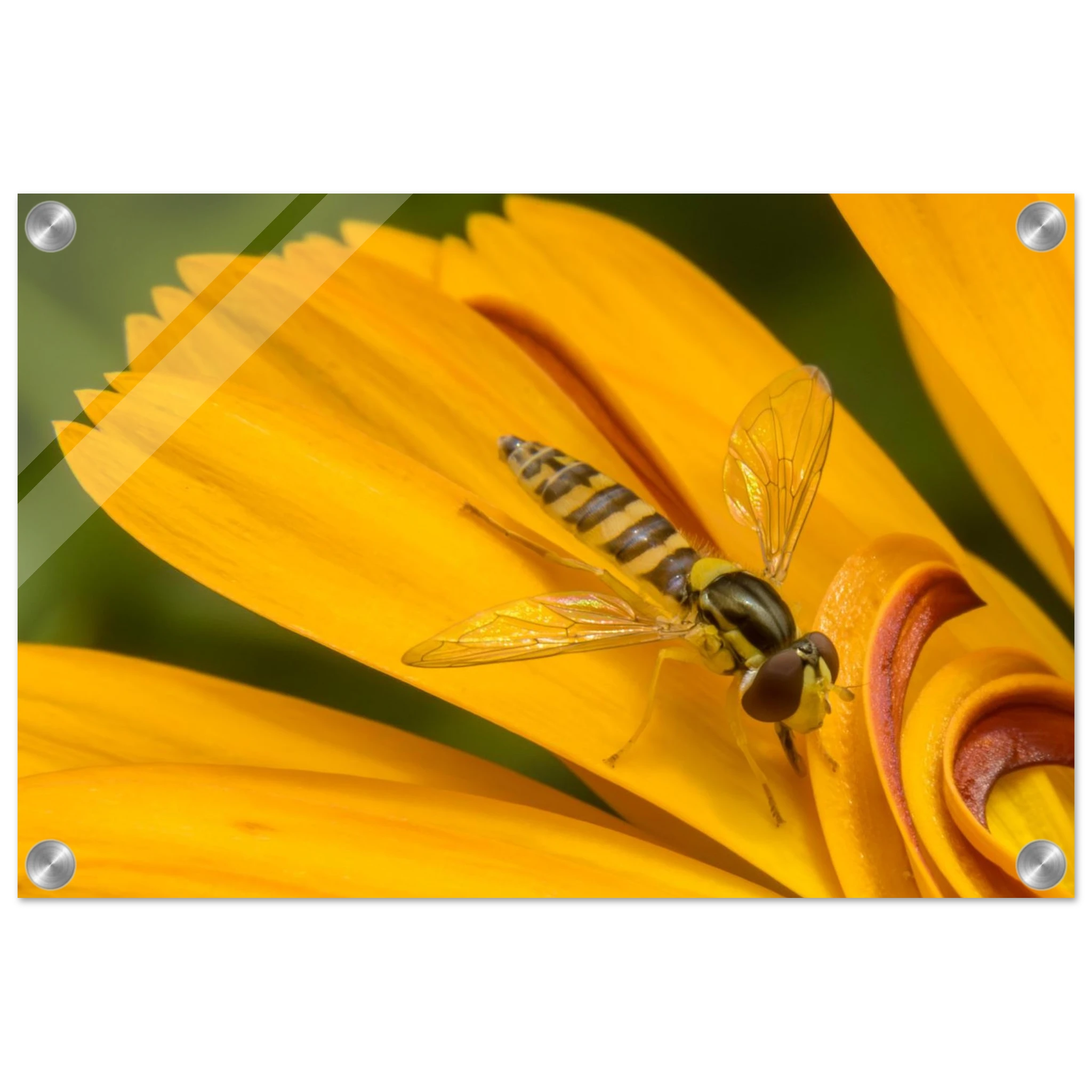 92b55d80-e2f9-4446-8e28-425ae9601907