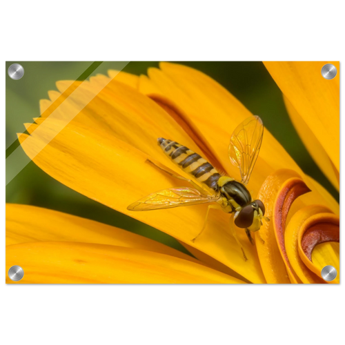 92b55d80-e2f9-4446-8e28-425ae9601907