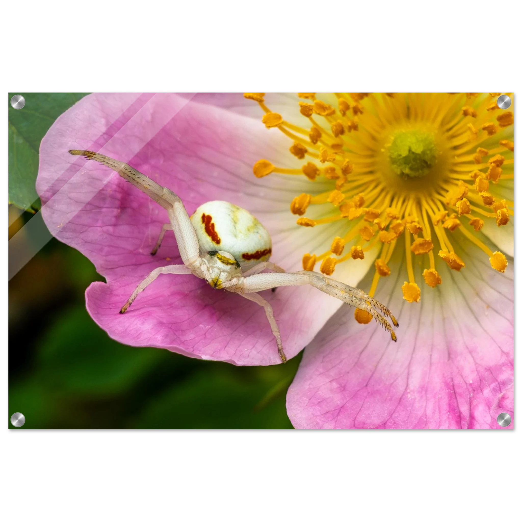 995dabdf-16ec-42fb-9532-ca794dd91e90