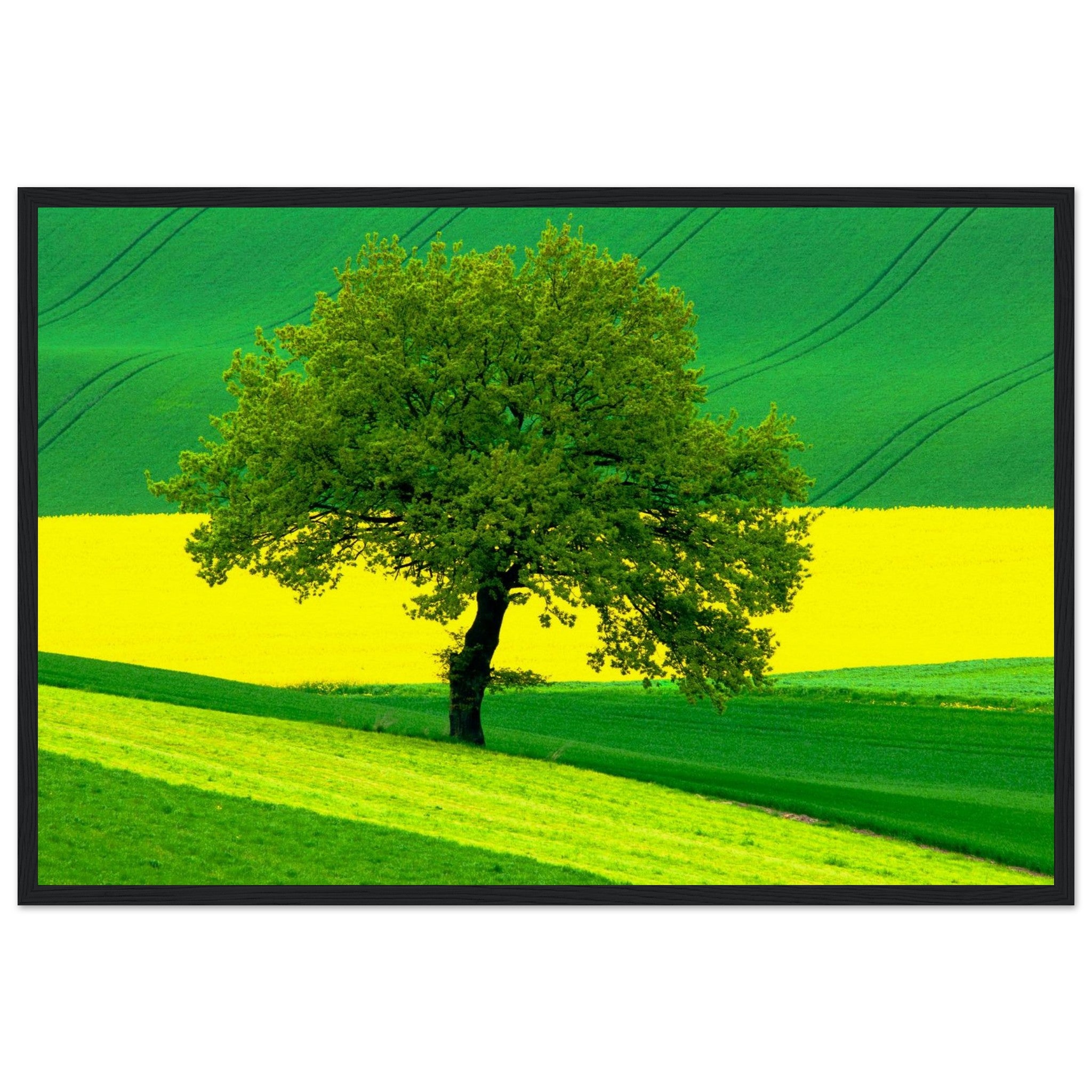 9e6747b7-5446-4c8a-b72d-b1b790cee910