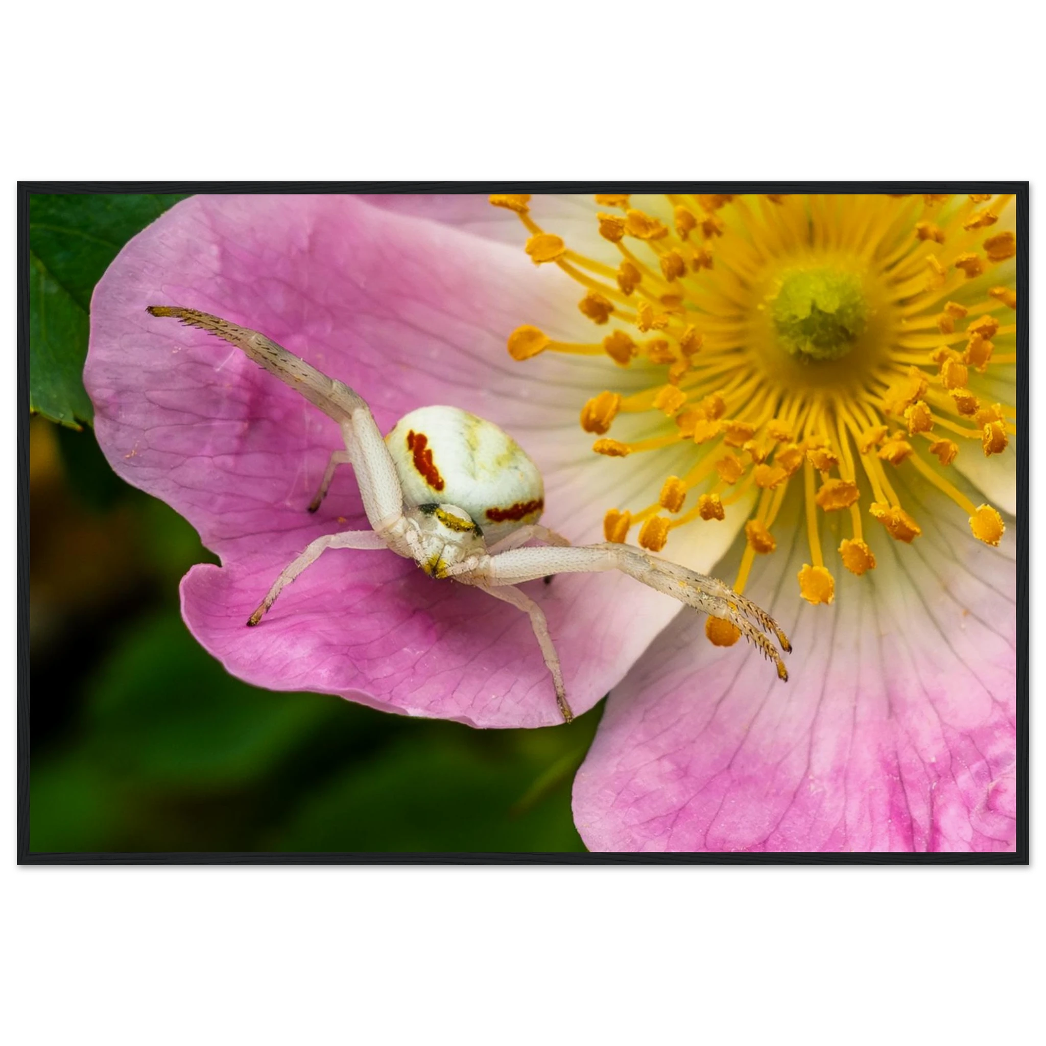 b5e40777-59bd-4d0b-b49b-c5857369d2a8