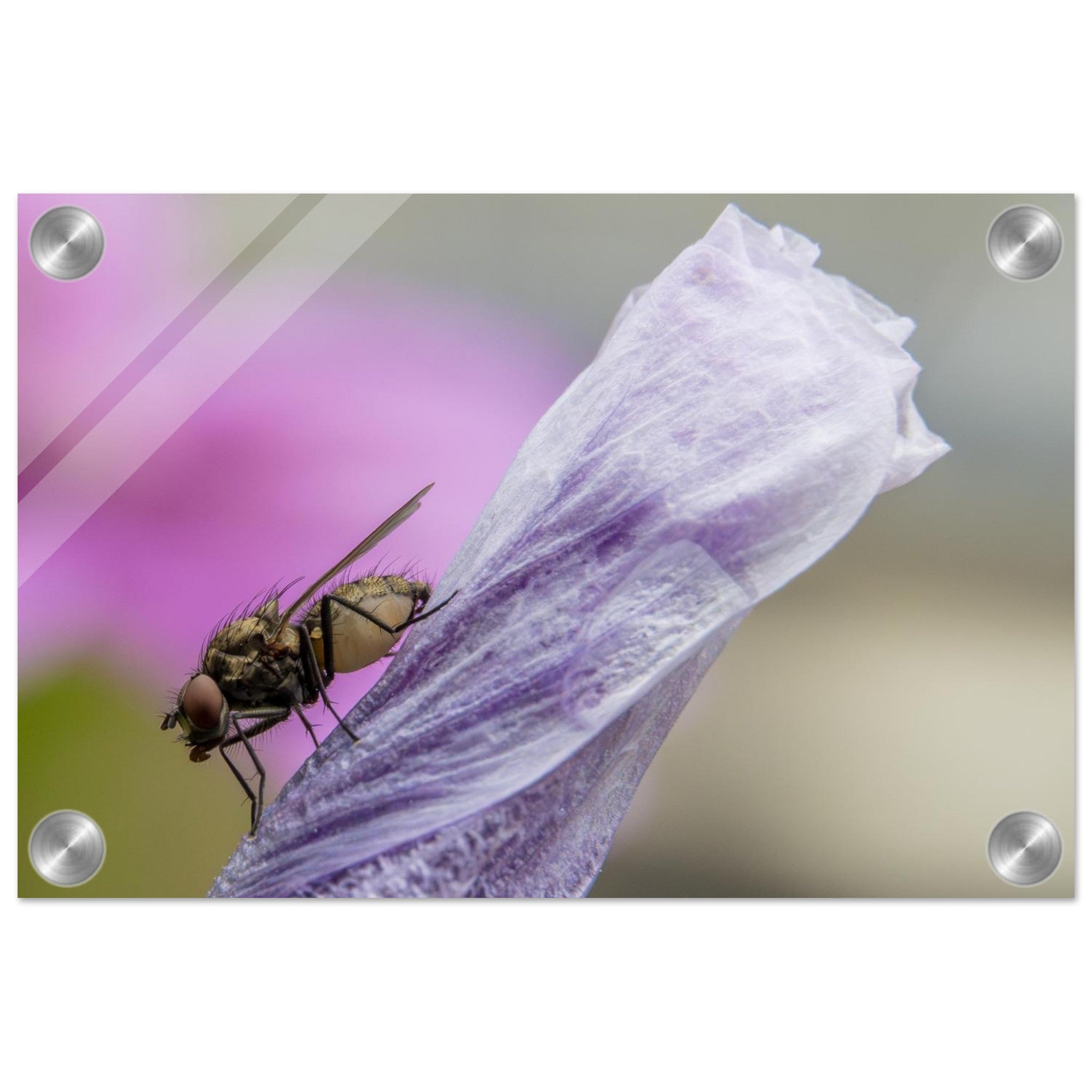 c010310b-8d06-4733-8009-dddc33d90e3d