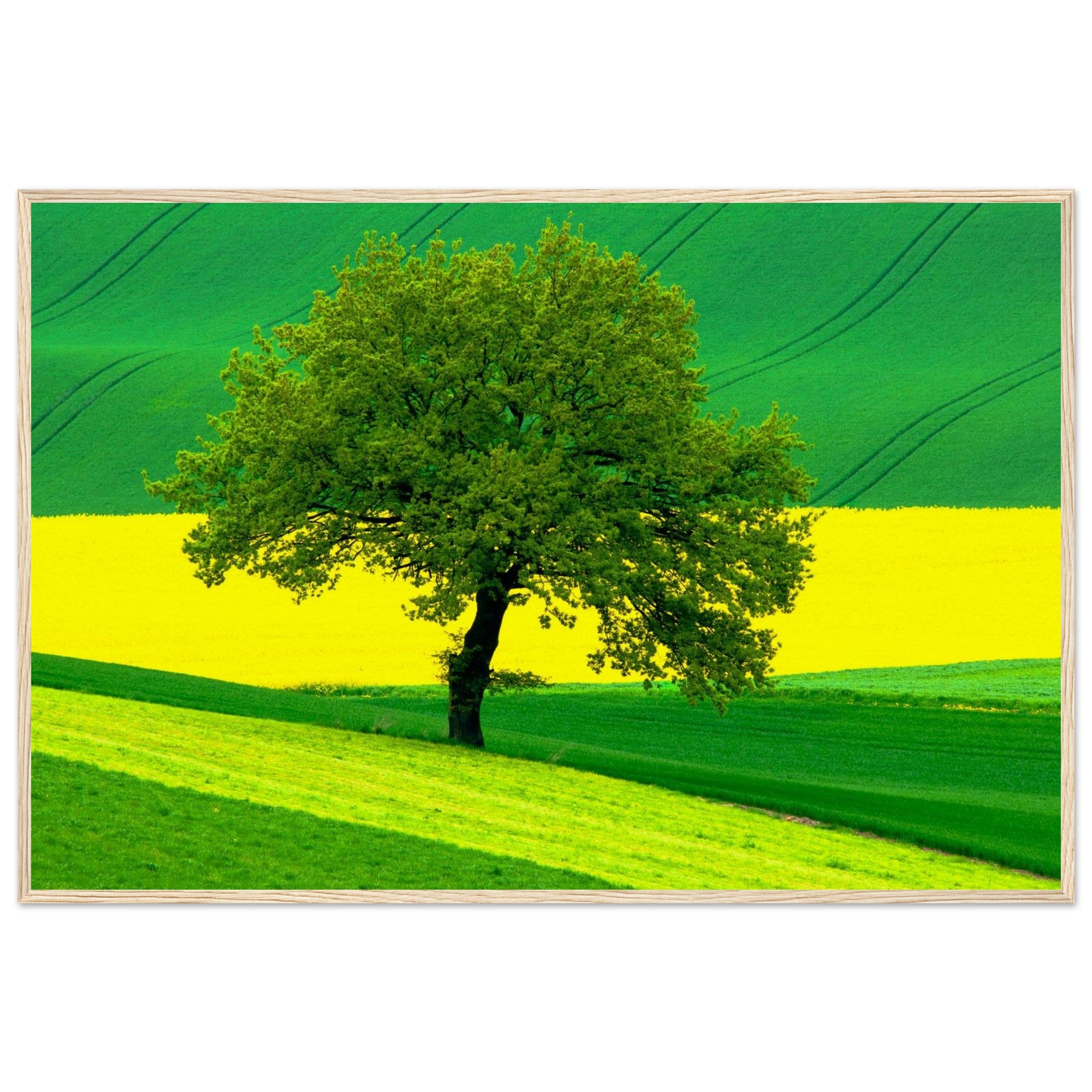 c7b82b6e-d2f7-41dd-a091-8e5ee3d19ba2