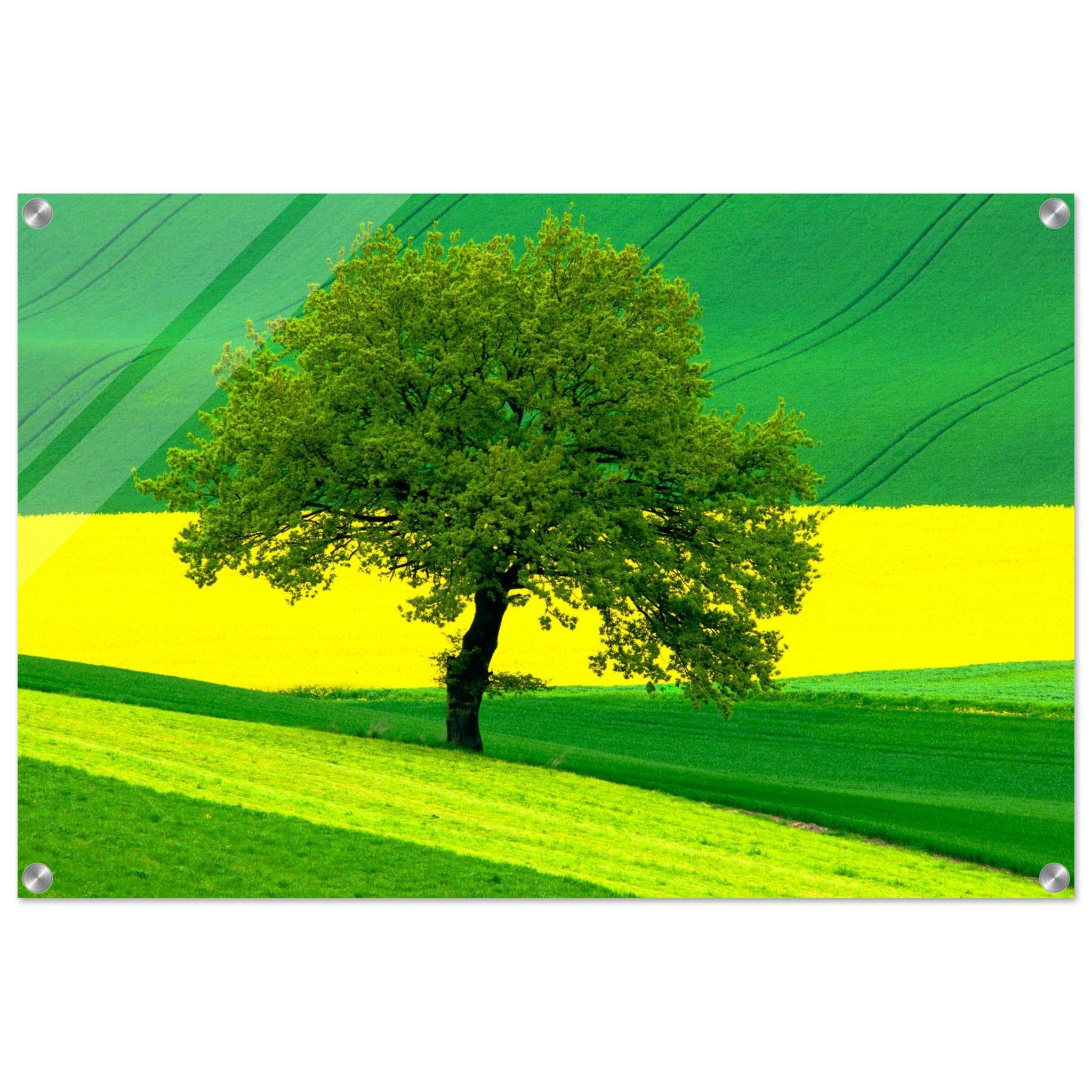 cb0325d9-7879-4dfe-82de-61ee9a2ec210