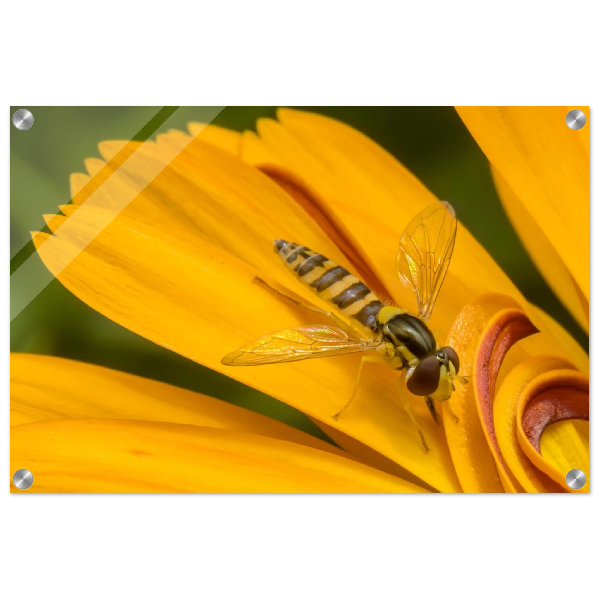 d7e98fe2-3dd9-46e7-9d66-69813e70cc14
