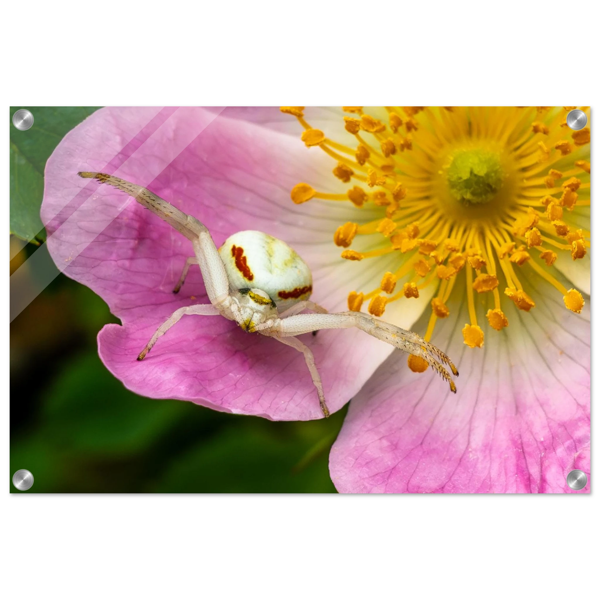f1543519-af4b-4cd4-b3e0-e81b61a9d75b